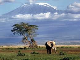 Kenya Kilimanjaro