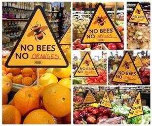 No bees no food