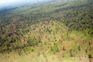 Mau forest-degradation