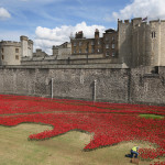 tower-of-london-poppies-2