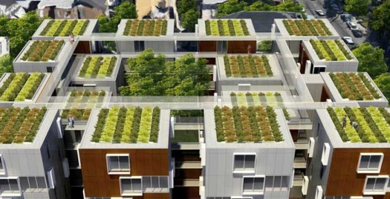 France-Declares-All-New-Rooftops-Must-Be-Topped-With-Plants-Or-Solar-Panels