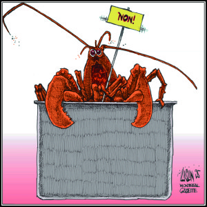 Aislin lobster in the pot _city_referendum-17