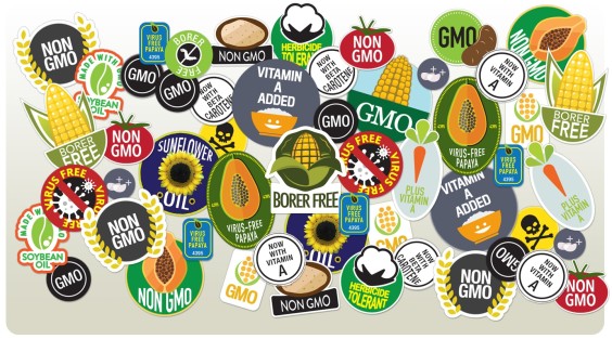 GMOs