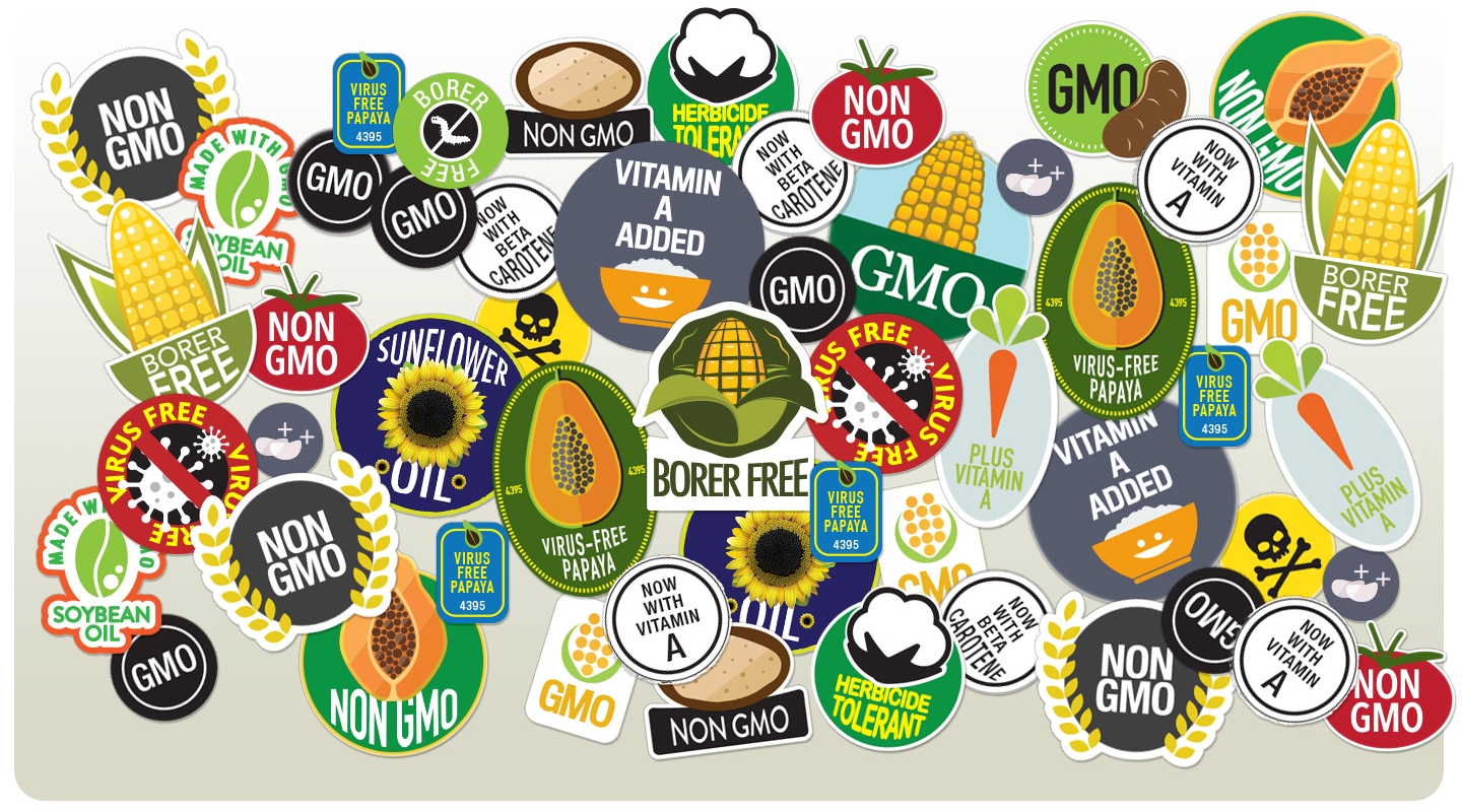 genetically modified food persuasive essay
