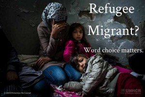 Refugee or migrant