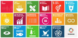 SDGs