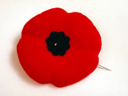 Remembrance Day poppy