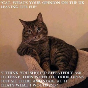 Cat comment on Brexit