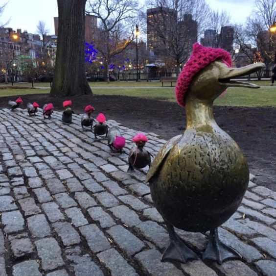ducks-march-in-boston-jan-21-2017